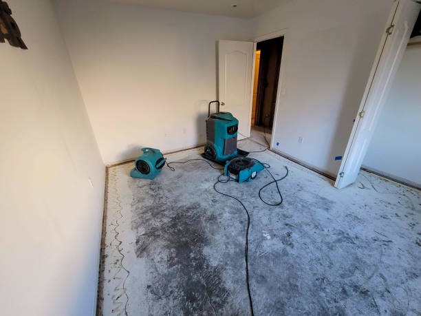 Best Flooded house restoration  in Swissvale, PA