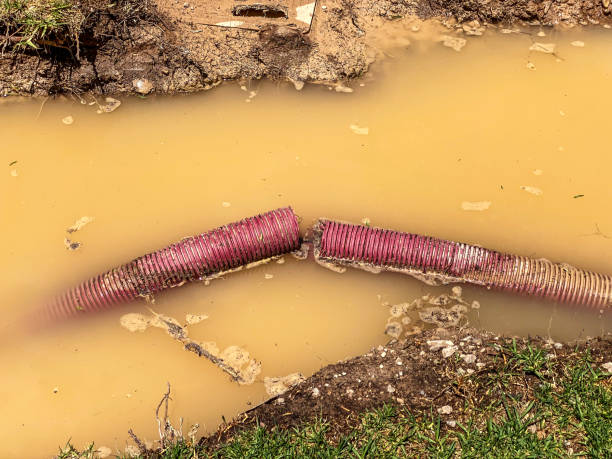 Best Sewage cleanup and water damage restoration  in Swissvale, PA